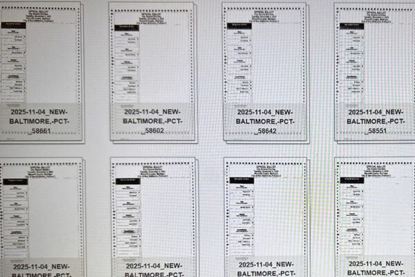 A screenshot of some of the ballots available for viewing from the Nov. 4, 2025 election via Ballot Verifier on the Macomb County clerk's elections website on March 3, 2026.