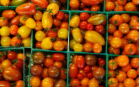Tomatoes are displayed for sale at the Chino Farm in Rancho Santa Fe, after U.S. producer prices increased more than expected in July amid a surge in the costs of services and goods, in California on Aug. 15, 2025. (PHOTO: REUTERS/Mike Blake/File)
