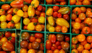 Tomatoes are displayed for sale at the Chino Farm in Rancho Santa Fe, after U.S. producer prices increased more than expected in July amid a surge in the costs of services and goods, in California on Aug. 15, 2025. (PHOTO: REUTERS/Mike Blake/File)