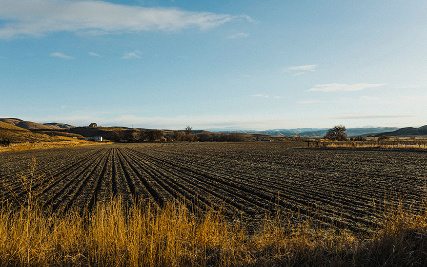 USDA restores $59M grant for University of Idaho farmers