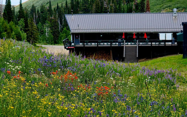The landscape at Pomerelle looks quite different without snow. (PHOTO: POMERELLE)