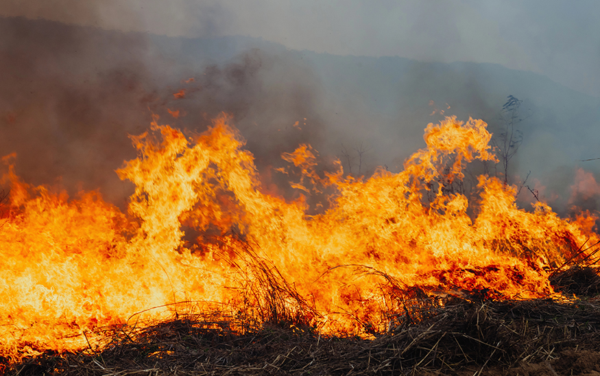 Idaho Power equipment sparked Mountain Home wildfire that destroyed 15 homes