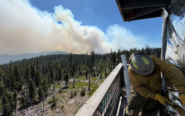 The Grasshopper Fire is burning in Mount Hood National Forest. The popular Flag Point Lookout has been wrapped in fire-resistant material. (PHOTO: VIA REUTERS CONNECT)