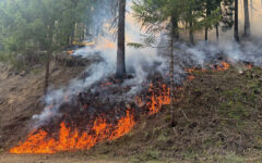 The Castle Fire is burning on Umpqua National Forest in challenging terrain. (PHOTO: VIA REUTERS CONNECT)