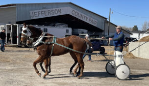 University of Idaho Extension educator Sawyer Fonnesbeck, Oneida County, drives his family’s chariot team. (PHOTO: UNIVERSITY OF IDAHO)